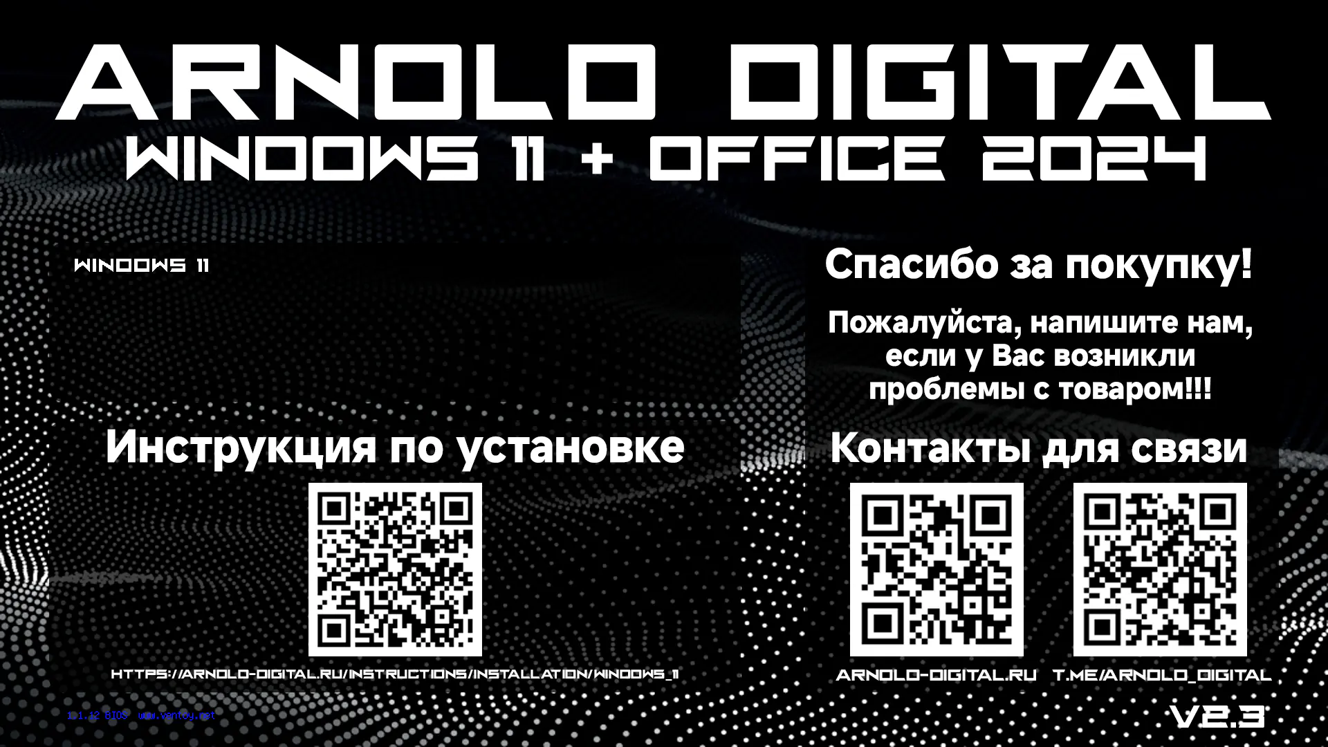 Главный экран загрузочной флешки с Windows 11